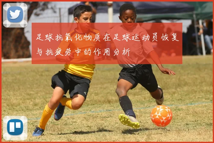 足球抗氧化物质在足球运动员恢复与抗疲劳中的作用分析